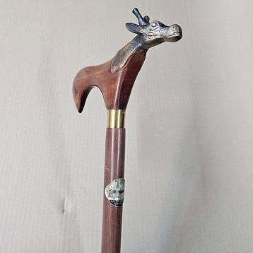 Wandelstok - Hout, Antiek en Kunst