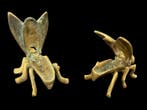 Figure - Insecten - Bronze