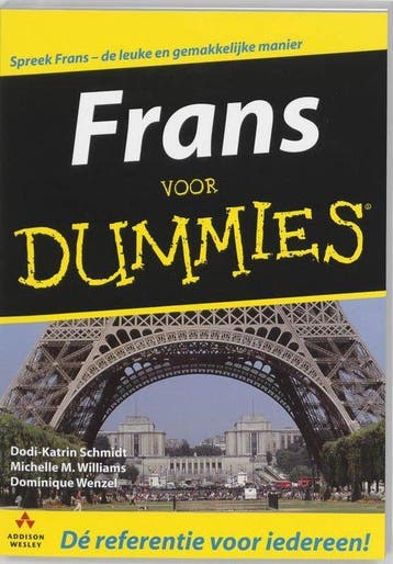 Voor Dummies - Schmidt, Livres, Verzenden