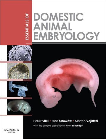Essentials Of Domestic Animal Embryology 9780702028991, Boeken, Verzenden, Gelezen, Poul Hyttel
