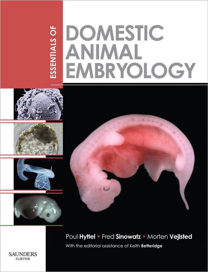 Essentials Of Domestic Animal Embryology 9780702028991, Boeken, Taal | Engels, Gelezen, Verzenden