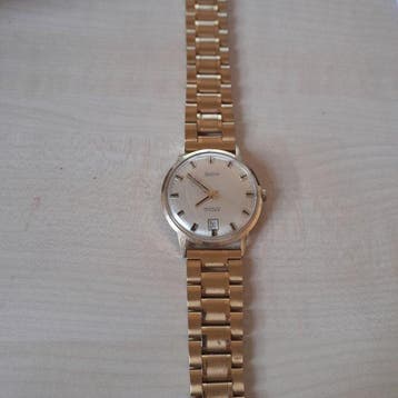 Delray - Sans prix de réserve - 14 k Goud - Homme - 1972
