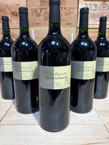 2020 Domaine Les Esquirots de Montrouge - Gasconie - 6, Nieuw