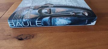 Boek Susan Vogel, Afrikaanse kunst door Westerse ogen