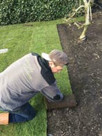 Mollennet - Mollengaas - Mollendoek - Mollennetten voordeel, Verzenden