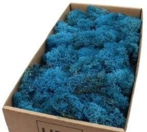 Rendiermos IJslandsmos Finlandsmos Blauw 500 gram