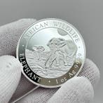 Somalië. 100 Shilling 2026 – African Wildlife Series –, Postzegels en Munten, Munten | Europa | Niet-Euromunten