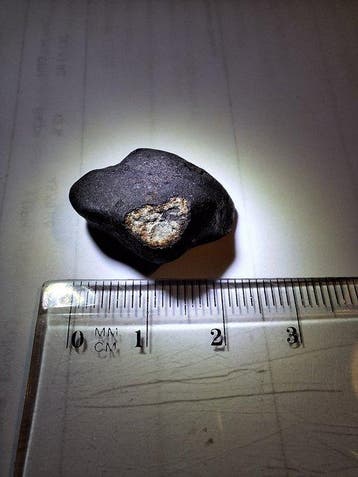 Chelyabinsk meteoriet Chondrite meteoriet - Hoogte: 2.2 cm -, Collections