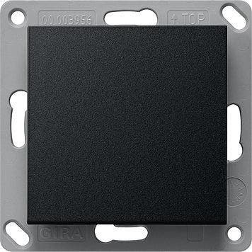 Système De Bus Émetteur Main/mur Gira System 55 - 2421005, Verzenden