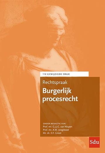 Rechtspraak Burgerlijk procesrecht / Rechtspraakreeks, Boeken, Verzenden, Zo goed als nieuw