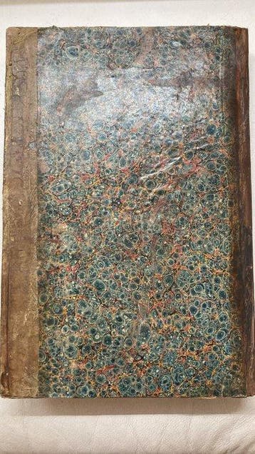 Hector Felicius - Tractatus de Societate – Rara Seconda