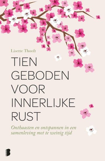 Tien geboden voor innerlijke rust 9789022575253, Boeken, Verzenden, Zo goed als nieuw, Lisette Thooft