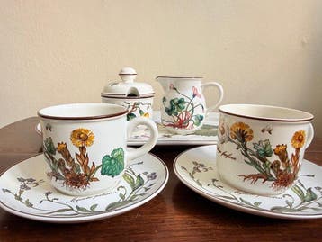 Villeroy & Boch - Koffieservies (7) - Botanica - Porselein -