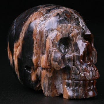 95 g 5.10 x 4.00 cm AA Museumstuk Echt dendroliet Trias