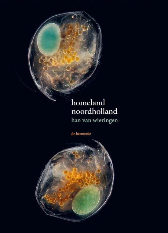 Homeland noordholland 9789463361941 Han van Wieringen, Livres, Poèmes & Poésie, Envoi