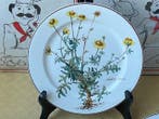 Villeroy & Boch - Eetservies (6) - Botanica Anthemis