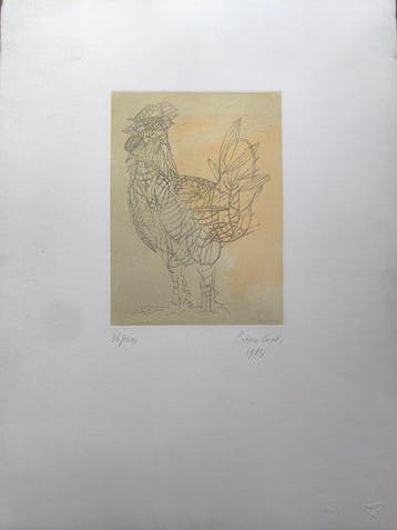 Primo Conti (XX) - Gallo