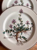 Villeroy & Boch - Tafelservies (7) - Botanica - Porselein