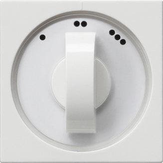 Gira Systeem 55 Besturingselement/Centrale plaat, Verzenden