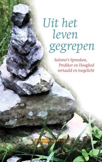 Uit het leven gegrepen 9789083041902 Gerard Swüste, Verzenden, Gerard Swüste