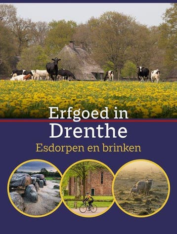 Erfgoed in Drenthe. Esdorpen en brinken 9789461481030, Verzenden, Zo goed als nieuw, Jan Vredenberg