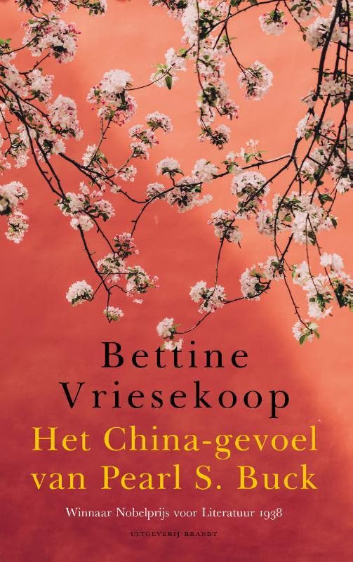 Het China-gevoel van Pearl S. Buck 9789493095441, Boeken, Literatuur, Gelezen, Verzenden