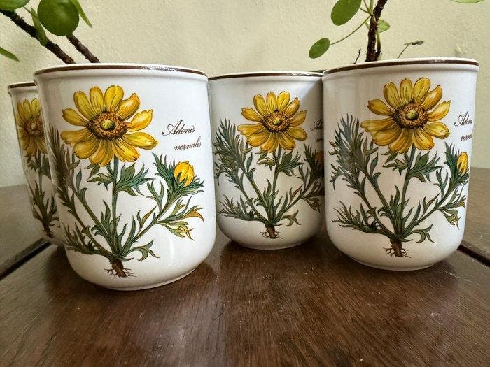 Villeroy & Boch - Koffieservies (4) - Botanica - Porselein -, Antiek en Kunst, Antiek | Meubels | Tafels