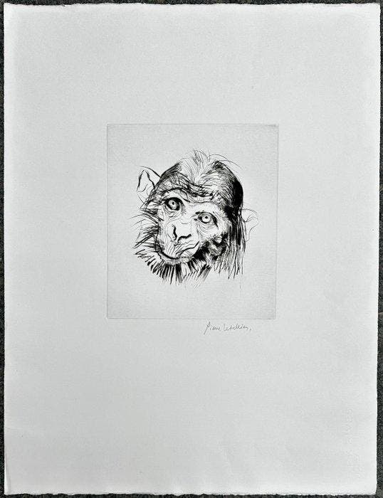 Pierre Letellier (1928-2000) - Tête de singe - Chimpanzé, Antiek en Kunst, Antiek | Overige Antiek