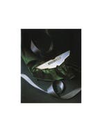 1995 ASTON MARTIN THE COLLECTION BROCHURE ENGELS, Livres, Ophalen of Verzenden