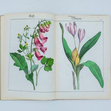 Eduard Walther - Bilder zum Unschauunungs-Unterricht für