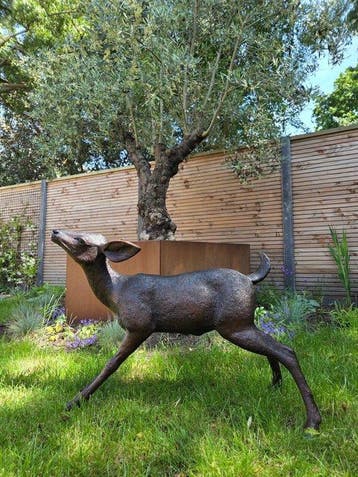 sculptuur, Young Deer - 81 cm - 60 cm - Brons