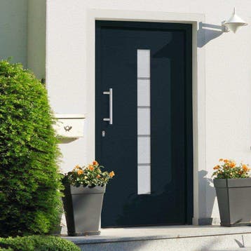 vidaXL Voordeur 100x210 cm aluminium en PVC antraciet, Verzenden