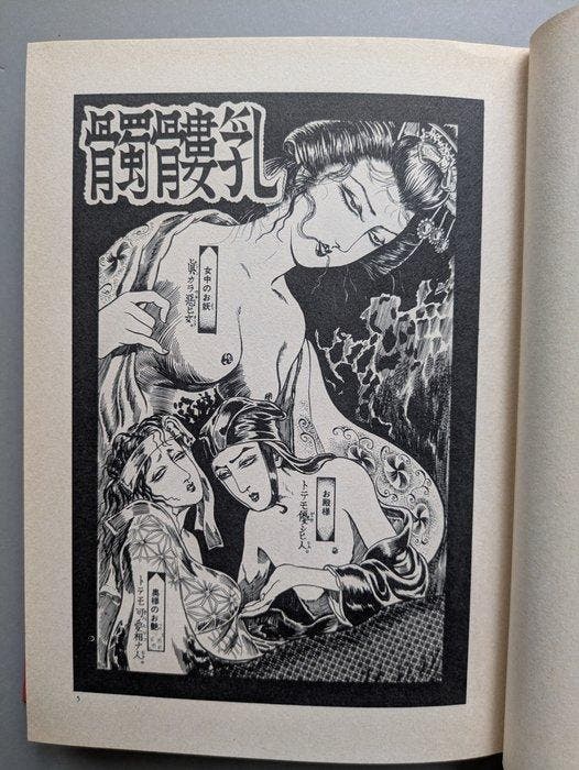 Kazuichi Hanawa – Tsuki no Hikari / Suzakumon - Japanese, Boeken, Stripverhalen