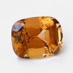 1 pcs Oranje Toermalijn - 15.78 ct - International