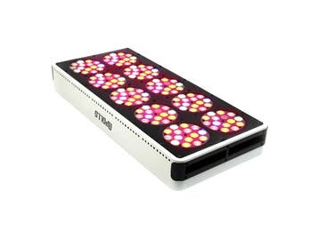 Apollo 10 LED Kweeklamp, Verzenden, Nieuw