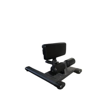 Gymfit - Sissy Squat Station, Ophalen of Verzenden, Nieuw