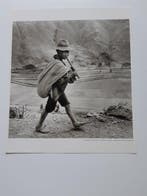 Werner Bischof/D. Alan Harvey - Enfants de Andes, Antiek en Kunst