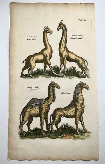 Matthäus Merian (b1593) - hand col. folio: Mythological, Antiek en Kunst