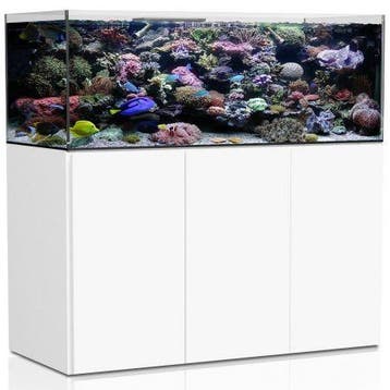 Aqua Medic Armatus 575 XD white, Dieren en Toebehoren, Verzenden, Nieuw