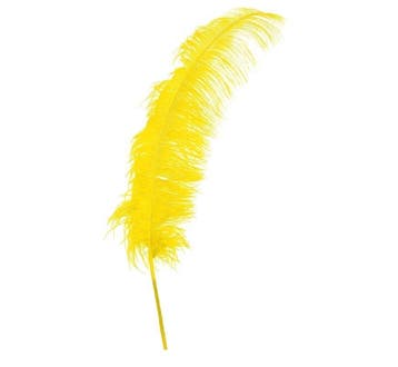 Gele Struisvogelveren 50cm 12st, Verzenden, Nieuw