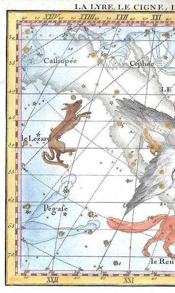 Astronomy, Costellations - Lier Zwaan Hagedis Het Vosje;, Nieuw