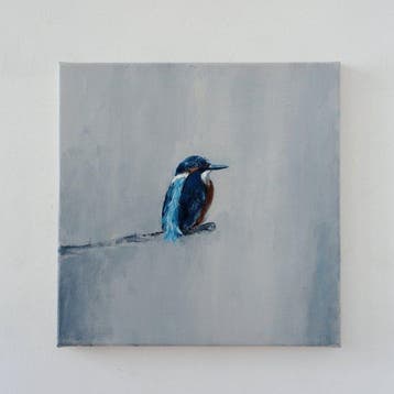 Matthieu van Riel - IJsvogel