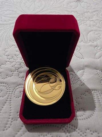 UEFA Euro Futsal - 2016 - Médaille de sport, Collections