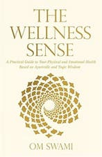 The Wellness Sense 9789351772620 Om Swami, Verzenden, Gelezen, Om Swami