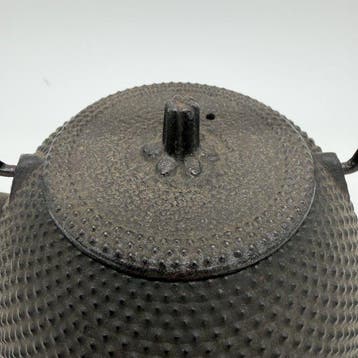 Theepot - Gietijzer (Nanbu Tekki-stijl), Antiek en Kunst