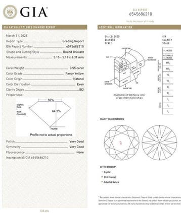 1 pcs Diamant (Natuurlijk gekleurd) - 0.55 ct - Rond - Fancy, Nieuw