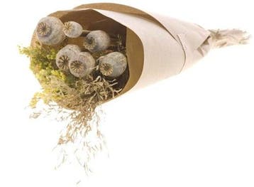 Droogbloemenboeket papaver in craft paper natural geschikt, Nieuw