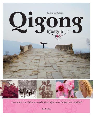 Qigong lifestyle 9789000310616 Patricia van Walstijn, Boeken, Verzenden, Gelezen, Patricia van Walstijn