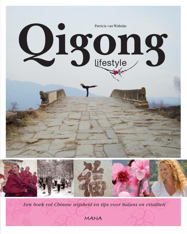 Qigong lifestyle 9789000310616 Patricia van Walstijn, Boeken, Esoterie en Spiritualiteit, Gelezen, Verzenden