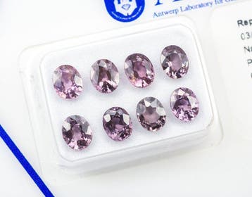 Zonder minimumprijs - 8 pcs Spinel - 3.25 ct - Antwerp, Nieuw